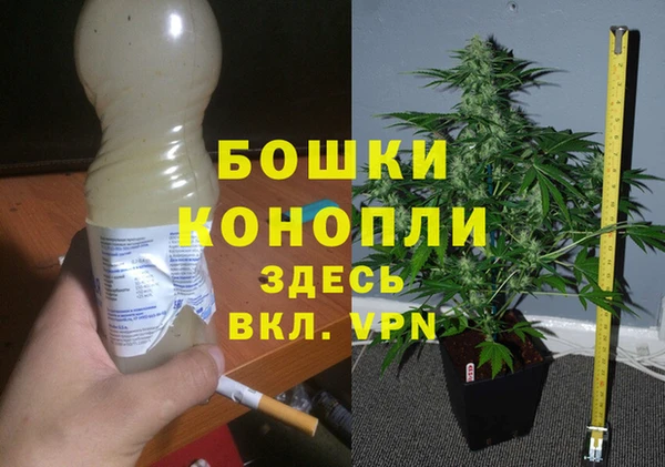 спиды Осташков