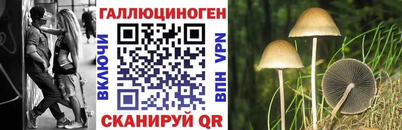 наркота  Курганинск  Галлюциногенные грибы мухоморы 