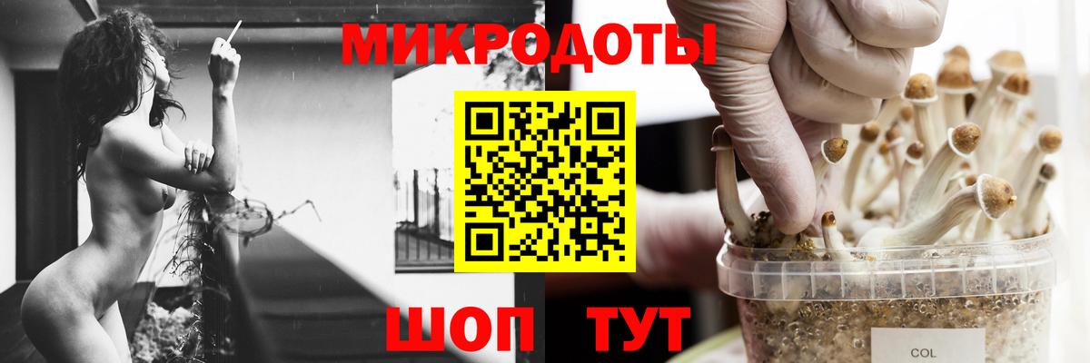 Курганинск  Псилоцибиновые грибы GOLDEN TEACHER  Вход с VPN 